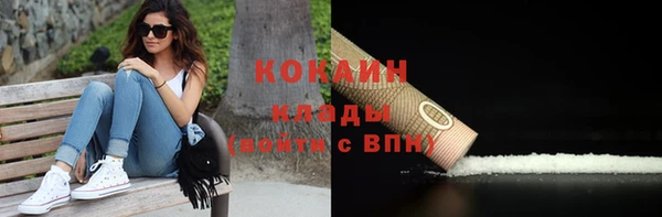 спайс Алексин