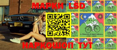 амф Донской