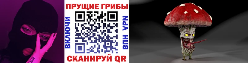 купить  цена  Усинск  Псилоцибиновые грибы MAGIC MUSHROOMS 
