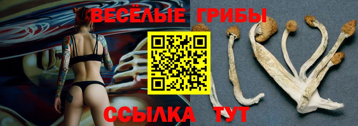 Псилоцибиновые грибы MAGIC MUSHROOMS Усинск